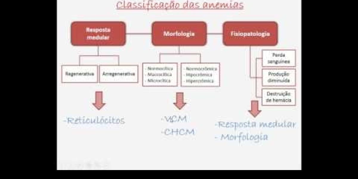 Los mejores piensos para gatos con insuficiencia renal