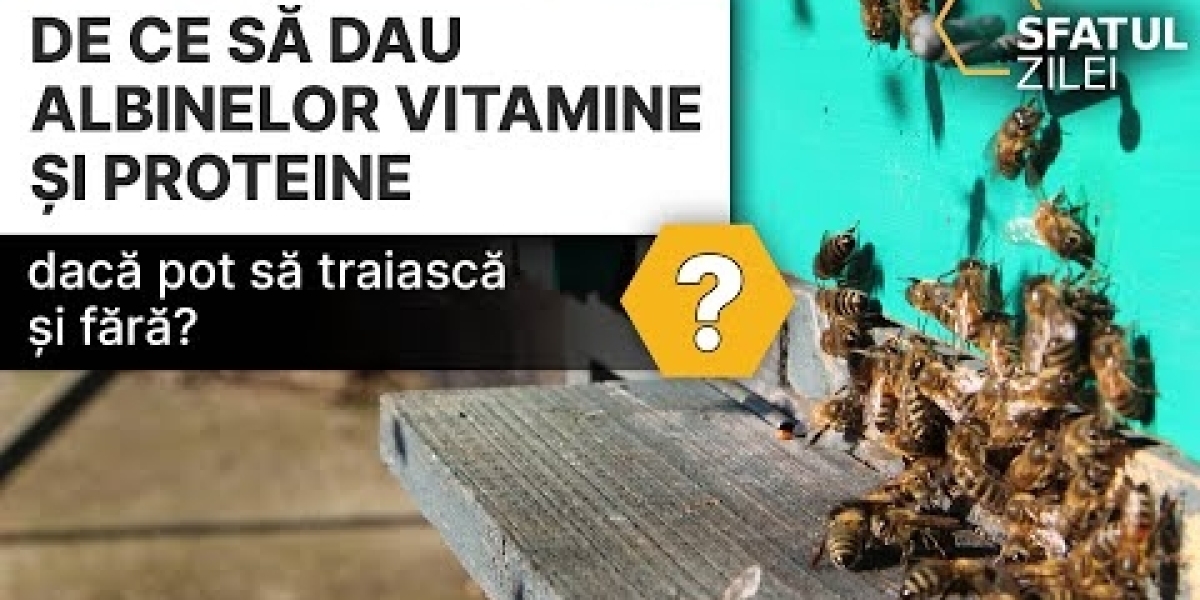 ¿La vitamina B12 es buena para aliviar dolores musculares? Centro Médico Dr Serván