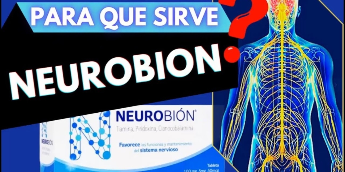 Planta ruda: Beneficios usos y propiedades medicinales en la medicina natural