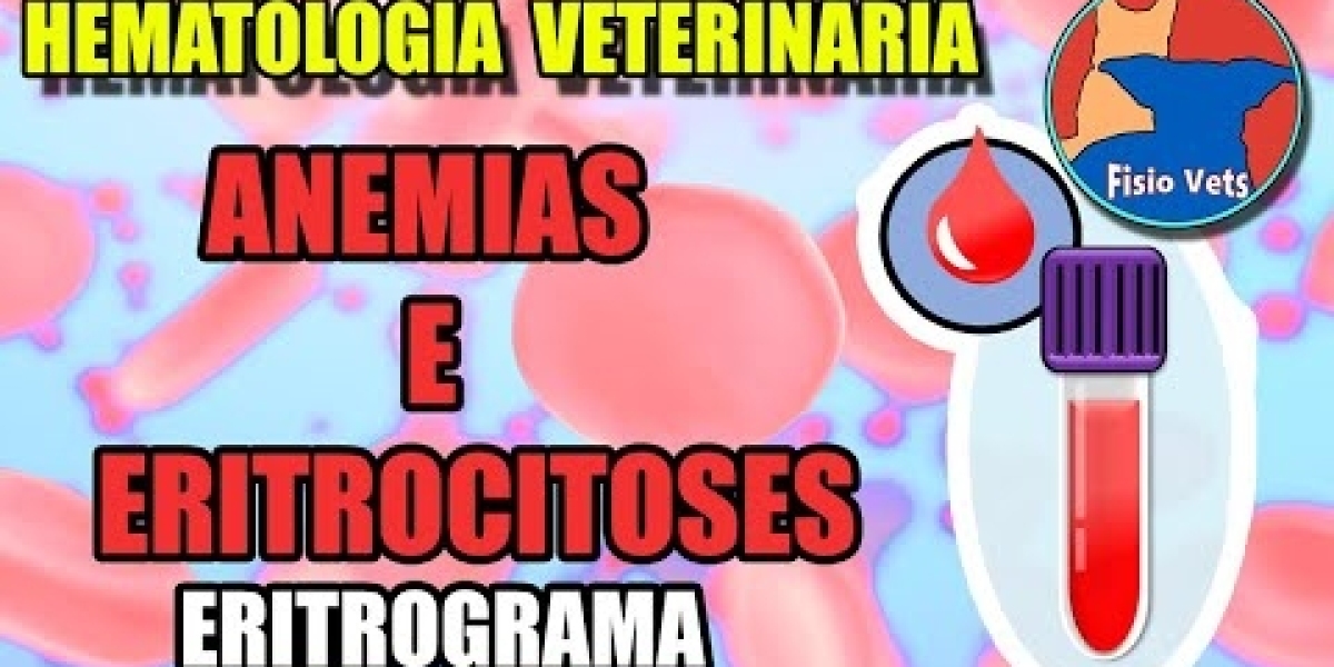 Descubra Quanto Custa o Exame de Cinomose: Preços, Fatores e Onde Fazer!