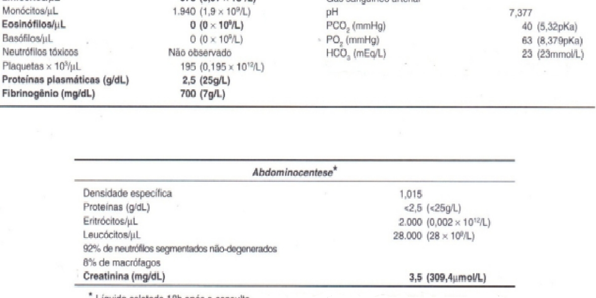 Chronic kidney disease in dogs