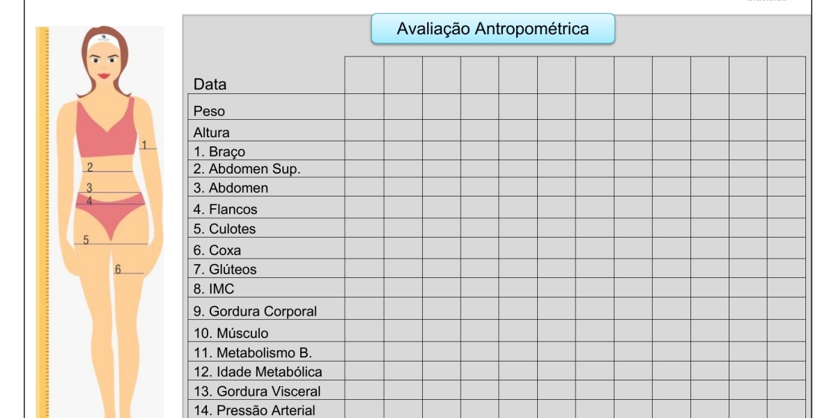 Los PRINCIPIOS DEL ENTRENAMIENTO FÍSICO, Todos y Más