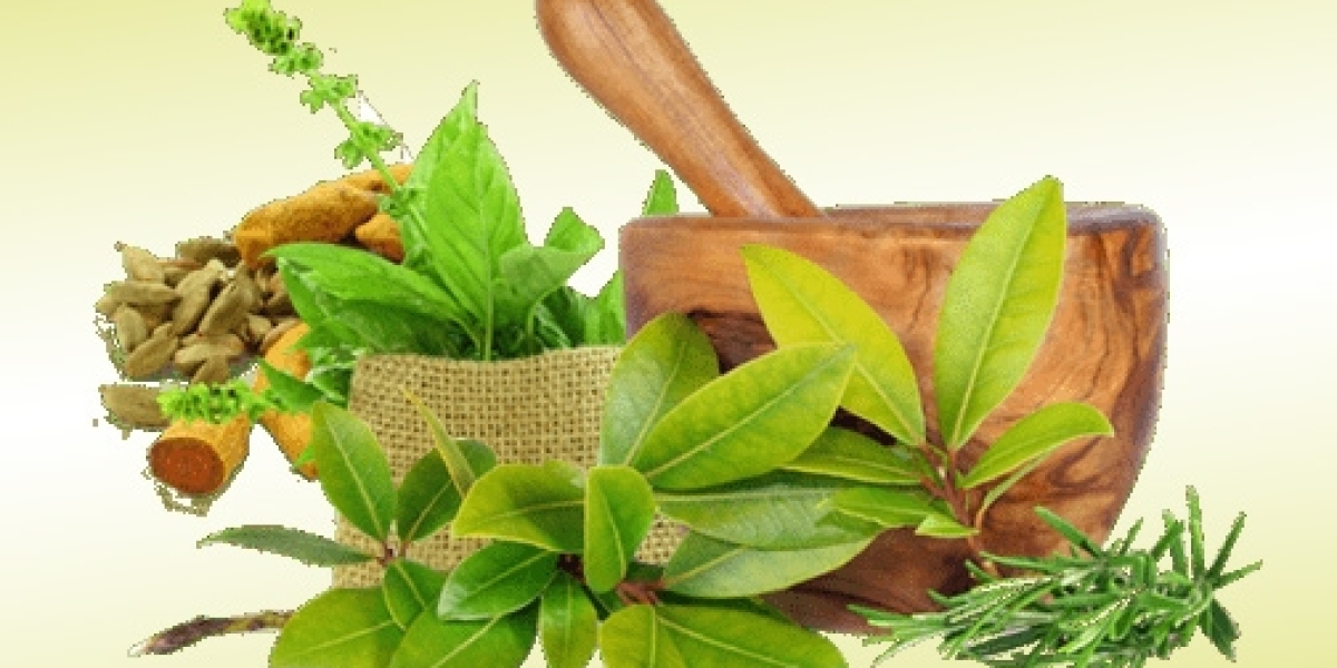 Ayurvedic medicine manufacturer in Delhi NCR - Ayurvation Healthcare