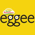 eggee eggs